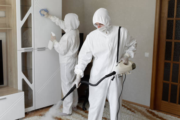 24/7 Emergency Odor Removal experts in Lucerne, CA