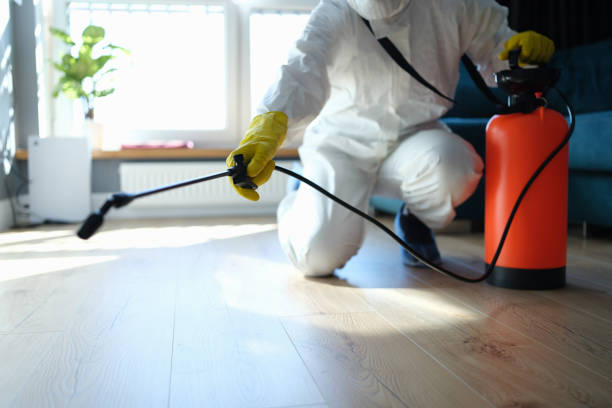 Reliable Odor Removal contractor in Lucerne, CA by Trauma Clean Pros